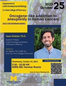 Oncogene-like addiction to aneuploidy in human cancers