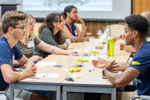 students work together at tables at UM