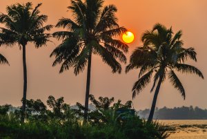 At the Backwaters, Kerala - South India