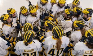 Image Imported from Maize Pages