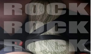 Image Imported from Maize Pages