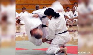 Image Imported from Maize Pages