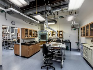 The conservation lab at the Kelsey Museum, featuring storage cabinets, vents, and artifacts on a table for study.