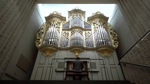 Daryl Robinson, organ