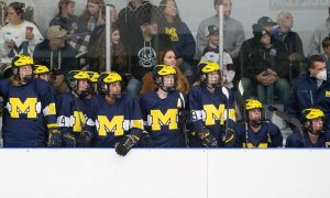 Image Imported from Maize Pages