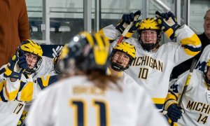 Image Imported from Maize Pages