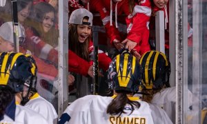 Image Imported from Maize Pages