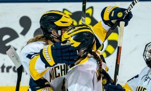 Image Imported from Maize Pages