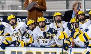 Image Imported from Maize Pages