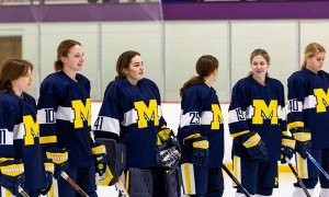 Image Imported from Maize Pages