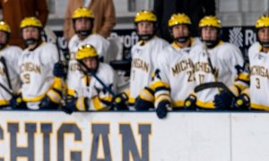 Image Imported from Maize Pages