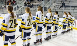 Image Imported from Maize Pages