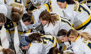 Image Imported from Maize Pages