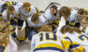 Image Imported from Maize Pages