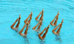 Image Imported from Maize Pages