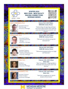 David Lorberbaum, Ph.D.