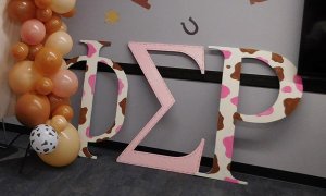 Image Imported from Maize Pages