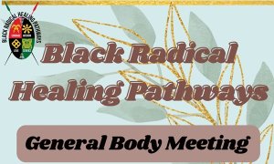 Image Imported from Maize Pages