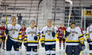 Image Imported from Maize Pages