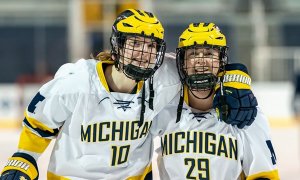 Image Imported from Maize Pages