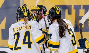 Image Imported from Maize Pages