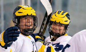 Image Imported from Maize Pages