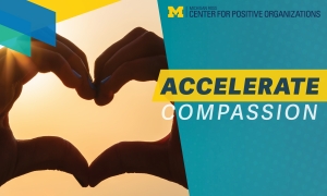Accelerate Compassion Header 2024