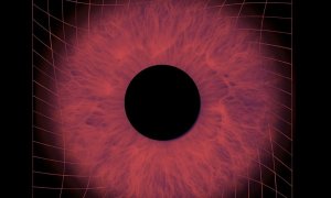 Image Imported from Maize Pages