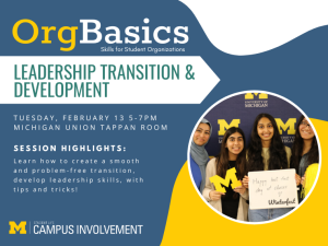 orgbasics leadership transitions and development
