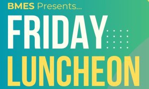 Image Imported from Maize Pages