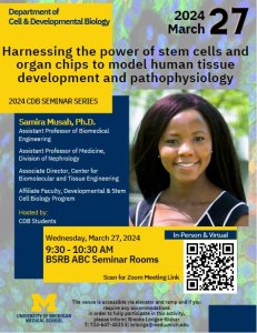 Harnessing the power of stem cells and organ chips to model human tissue development and pathophysiology