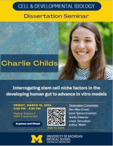 Interrogating stem cell niche factors in the developing human gut to advance in vitro models