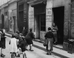 Credit: Fred Stein Epicerie Volailles Antwerp 1937