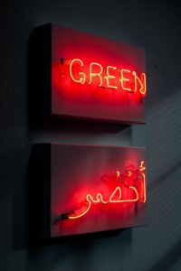 This Green Is Not Green by Hanaa Malallah, 2021, neon image courtesy Park Gallery.