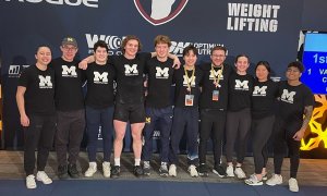 Image Imported from Maize Pages