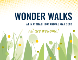 An illustrated graphic with leaves, grasses and green and yellow dots. The text says "Wonder Walks at Matthaei Botanical Gardens All are welcome!"