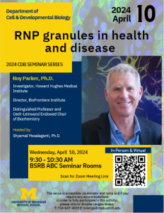 RNP granules in health and disease