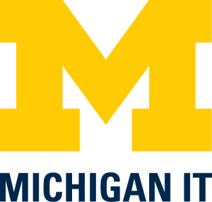 Michigan IT Logo with Block M