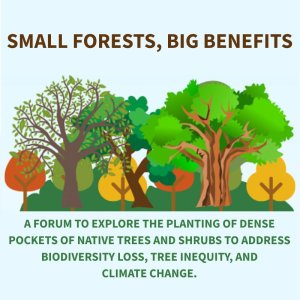 Illustration showing lots of trees and shrubs with text: Small Forests, Big Benefits, A forum to explore the planting of dense pockets of native trees and shrubs to address biodiversity loss, tree inequity, and  climate change.