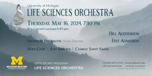 LSO concert spring 2024