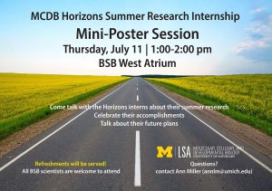 Horizons Intern poster-- a highway leading off into the distance