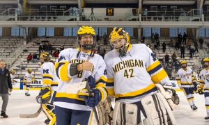 Image Imported from Maize Pages