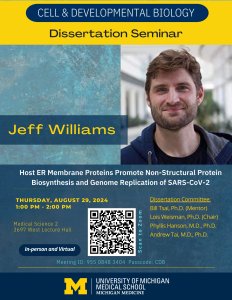 Host ER Membrane Proteins Promote Non-Structural Protein Biosynthesis and Genome Replication of SARS-CoV-2