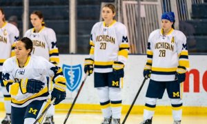 Image Imported from Maize Pages