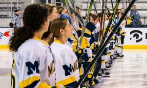 Image Imported from Maize Pages