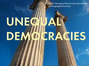 Center for Emerging Democracies Roundtable | Unequal Democracies