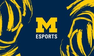 Image Imported from Maize Pages