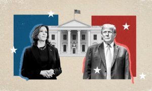 Image Imported from Maize Pages