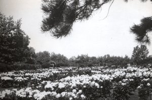 The Detroit Observatory