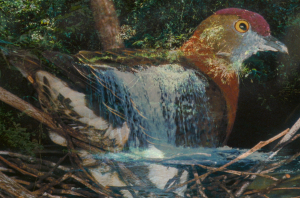 Rainforest landscape with tropical bird